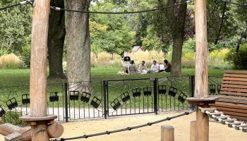 Bielańskie place zabaw w Warszawie, K. Koziej, PZFD
